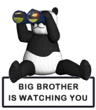 big-brother-panda